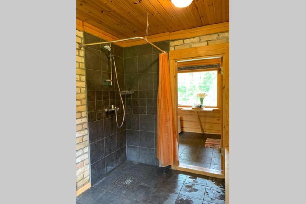 Cēsis Pirtsmaja Villa Marta מראה חיצוני תמונה
